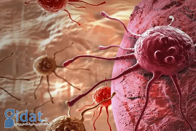 درمان سرطان با هدف گرفتن سلول‌های تومور!