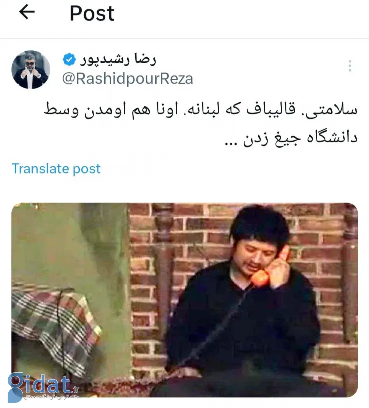 هم خوشگله، هم بوره، اما آقای رشیدپور بی‌خیال! 