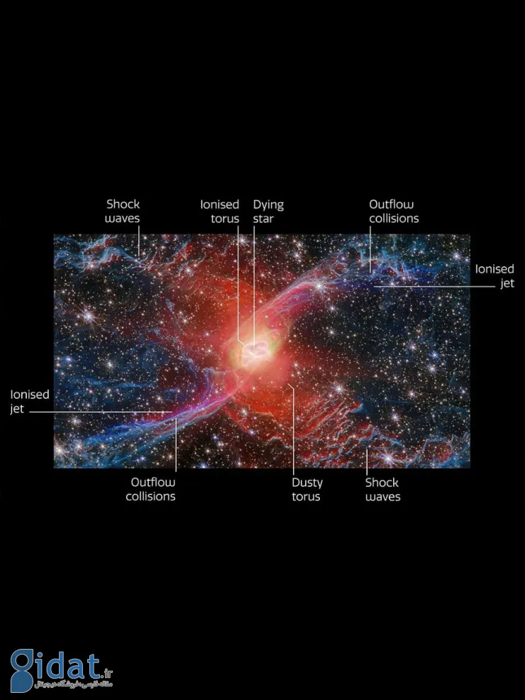 photo_2025-11-02_07-54-47