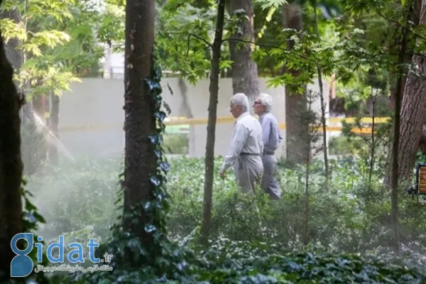 خبر خوش برای این دسته از بازنشستگان تهرانی