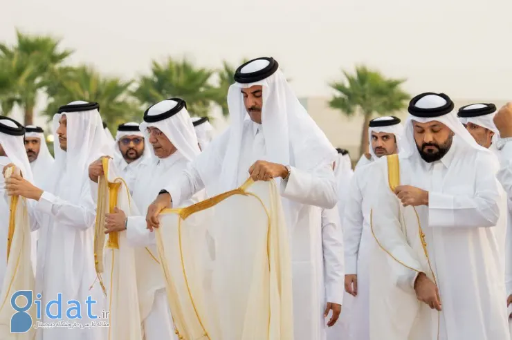 photo_2025-11-13_12-06-45