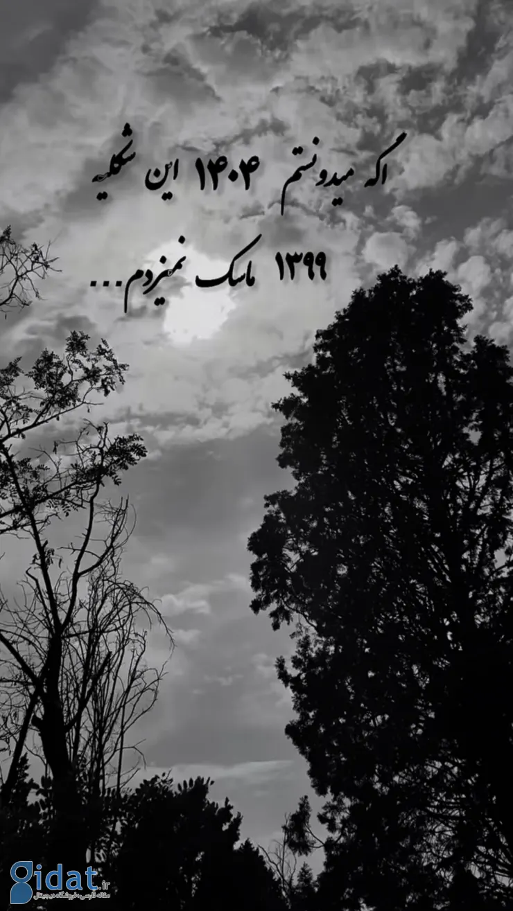 photo_2025-12-31_19-49-49