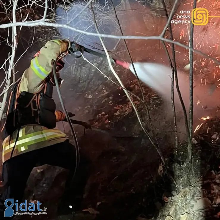 دومین سقوط جنگنده اف-۱۶ امروز ثبت شد