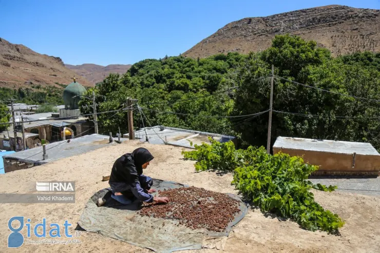 «اسطرخی»؛ روستایی زیبا در دامنه کوه شاه جهان