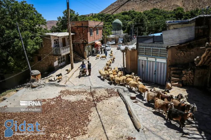 «اسطرخی»؛ روستایی زیبا در دامنه کوه شاه جهان