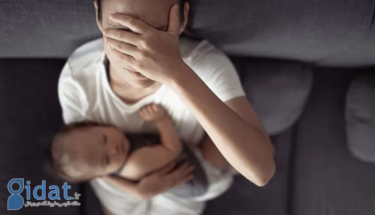 shutterstock_2145348151