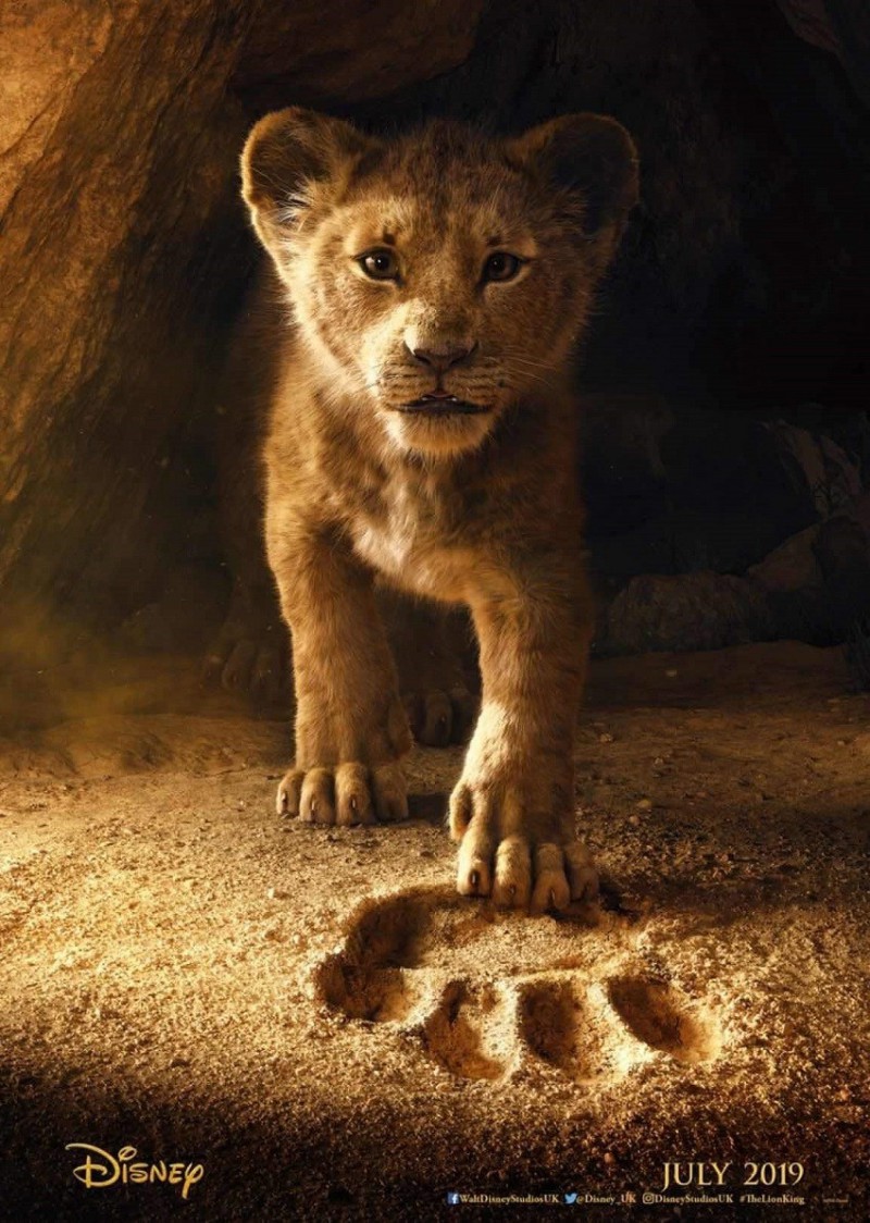 چرا فیلم شیر شاه منتقدان را دچار دوگانگی کرده است؟