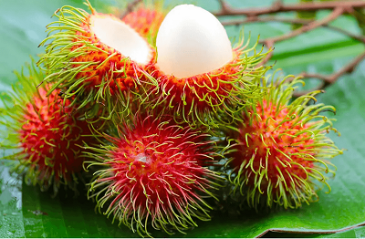 مژکی : میوه عجیب : Rambutan