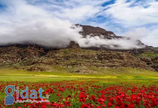 لرستان در بهار