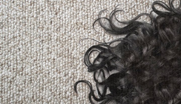 روش های جمع کردن مو از روی فرش؛ موی سر و موی حیوانات خانگی