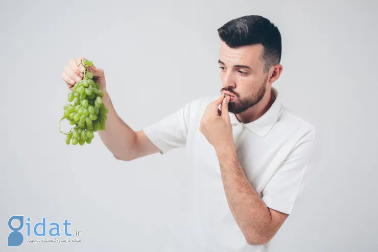 خواص انگور؛ ۵۵ خاصیت درمانی این میوه بهشتی