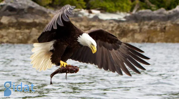 تیزبینی و تفکر سیستمی - چگونه ثروتمند شویم