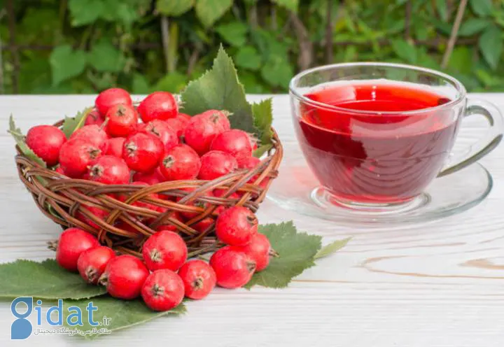 خواص زالزالک - مصرف زالزالک به صورت چای زالزالک