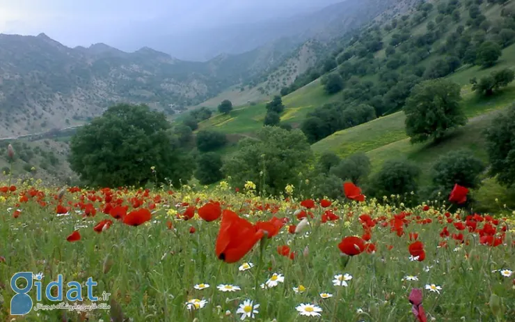 ایلام در بهار