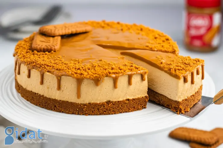 طرز تهیه کیک پنیر نیلوفر خانگی خوشمزه و خانگی + فیلم