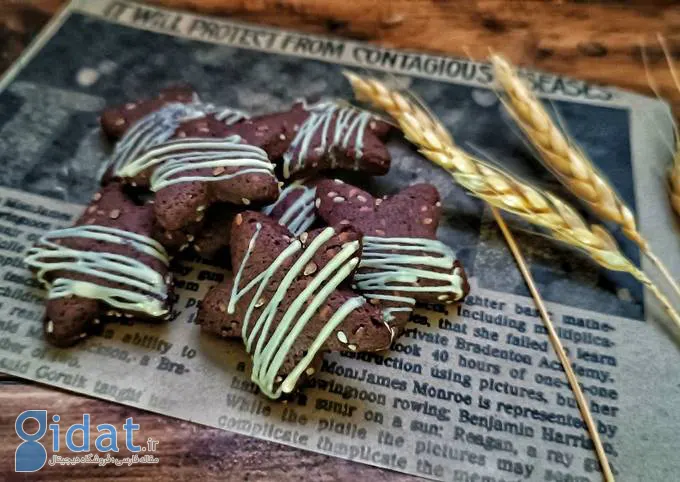 ۳۰ تا از انواع شیرینی خانگی برای عید + طرز تهیه گام به گام