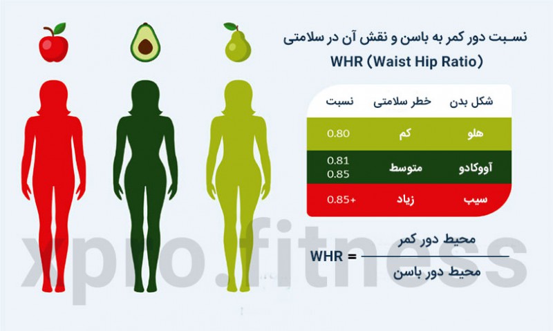 بزرگ کردن باسن