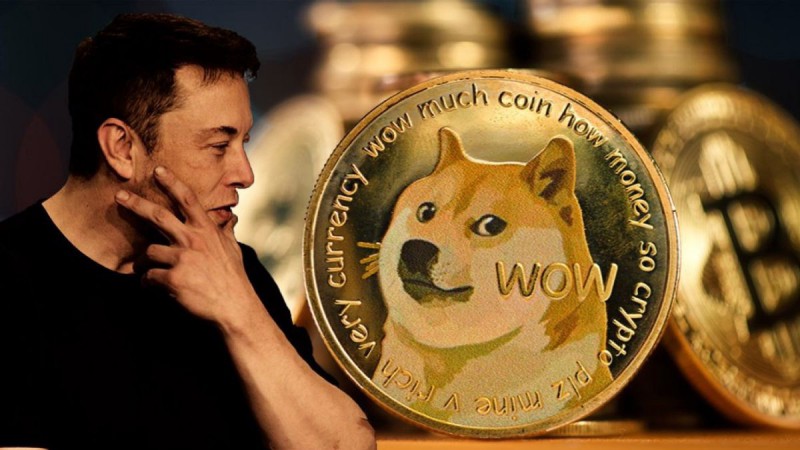 Dogecoin (DOGE): آنچه شما باید بدانید