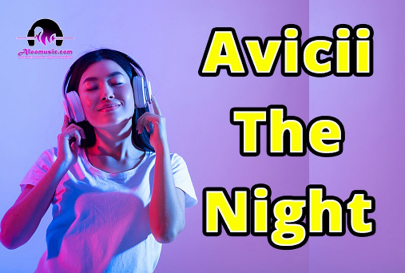 Avicii The Night Mp3 Music By No Copyright