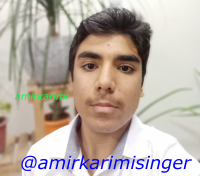 amirkarimi